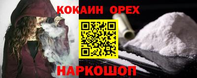СК Кандалакша