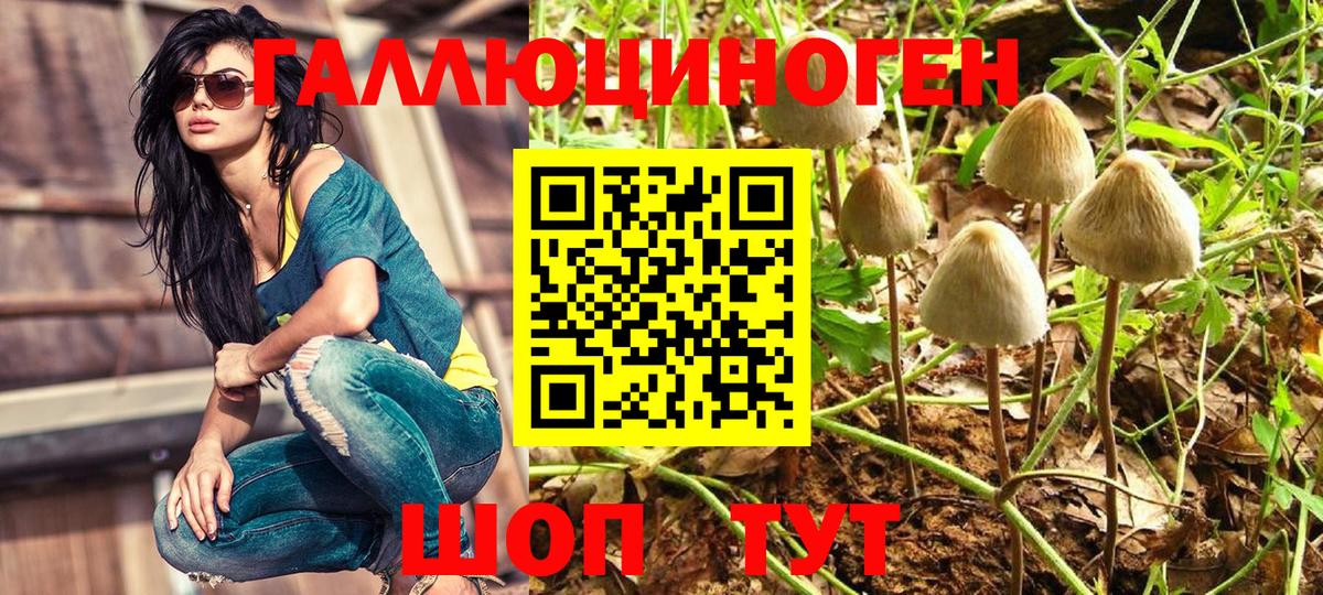 Псилоцибиновые грибы Psilocybe  Вход с VPN  Кыштым 